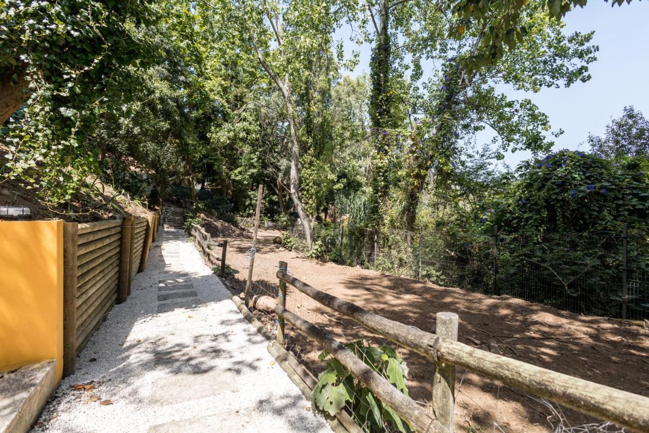Ferienhaus Penedo Escape Nature Colares